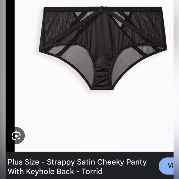 NWT, TORRID, SZ 4, Cheeky, Strappy Satin & Mesh Panty - Picture 1 of 3